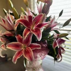 O'Malley's Flower Mill - Amazing bundle of StargazerLilly's