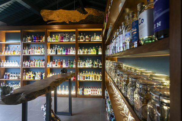 The Gin Library - The Worlds Largest Gin Collection by null
