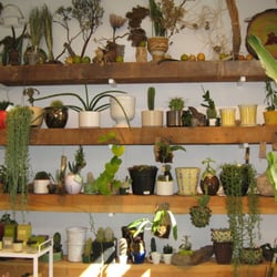 The Green Room
