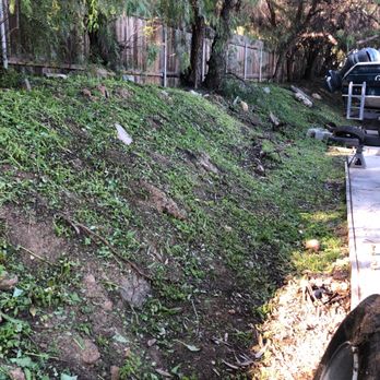 Haul Loads Services - Weeds cut down brush and trash removed. - Landscaping Near Me