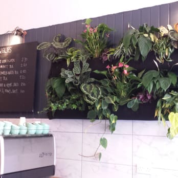Twelve Triangles - Coffee & Tea Near Me - Edinburgh, EDH