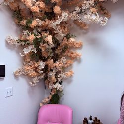 Blossom Med - Blossom Med