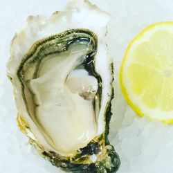 Le Bar à Huîtres