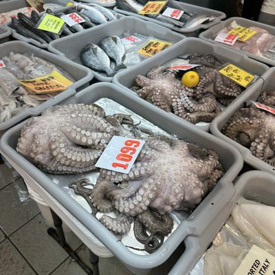 Randazzo's Seafood by null Randazzo's Seafood by null