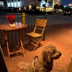 Melville Winery - Dog friendly borg inside and outside