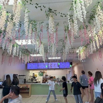 Boba Baby - Bubble Tea Near Me - Palm Beach Gardens, Florida Boba Baby - Bubble Tea Near Me - Palm Beach Gardens, Florida