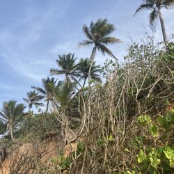 Capitol Beach