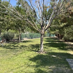 Fire Station Dog Park - Bench, pup and shaded areas!