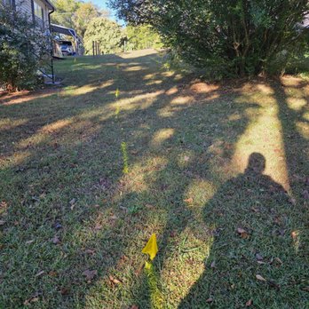 Branch Brothers of Greenville - Before picture - Tree Services Near Me - Easley, South Carolina