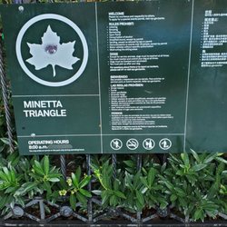 Minetta Triangle