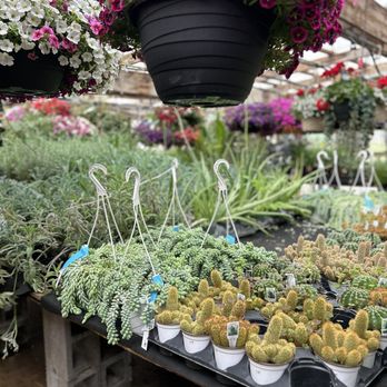 Lyons Fruit Market - Plants - Fruits & Veggies Near Me - Fennville, Michigan