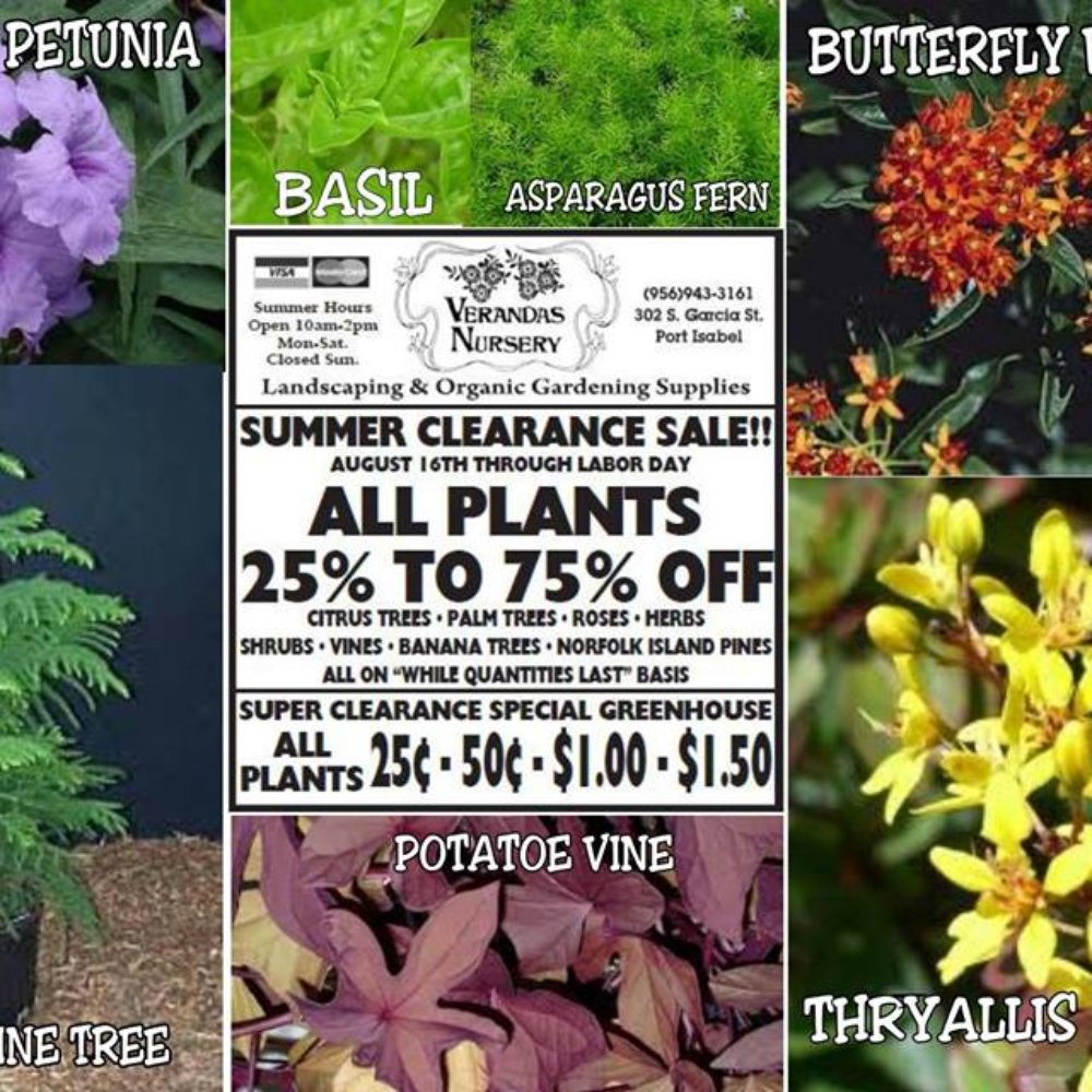 THE BEST 10 Nurseries & Gardening near Los Fresnos, TX 78566 - Last