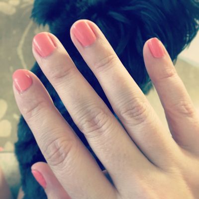 Socila Beauty Salon Closed 106 Photos 23 Reviews Hair Salons 201 Se 15th Ter Deerfield Beach Fl United States Phone Number