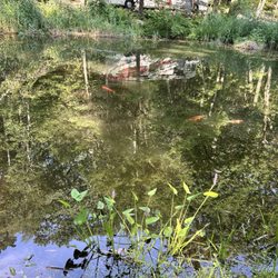Four Seasons By The Lake - Pond