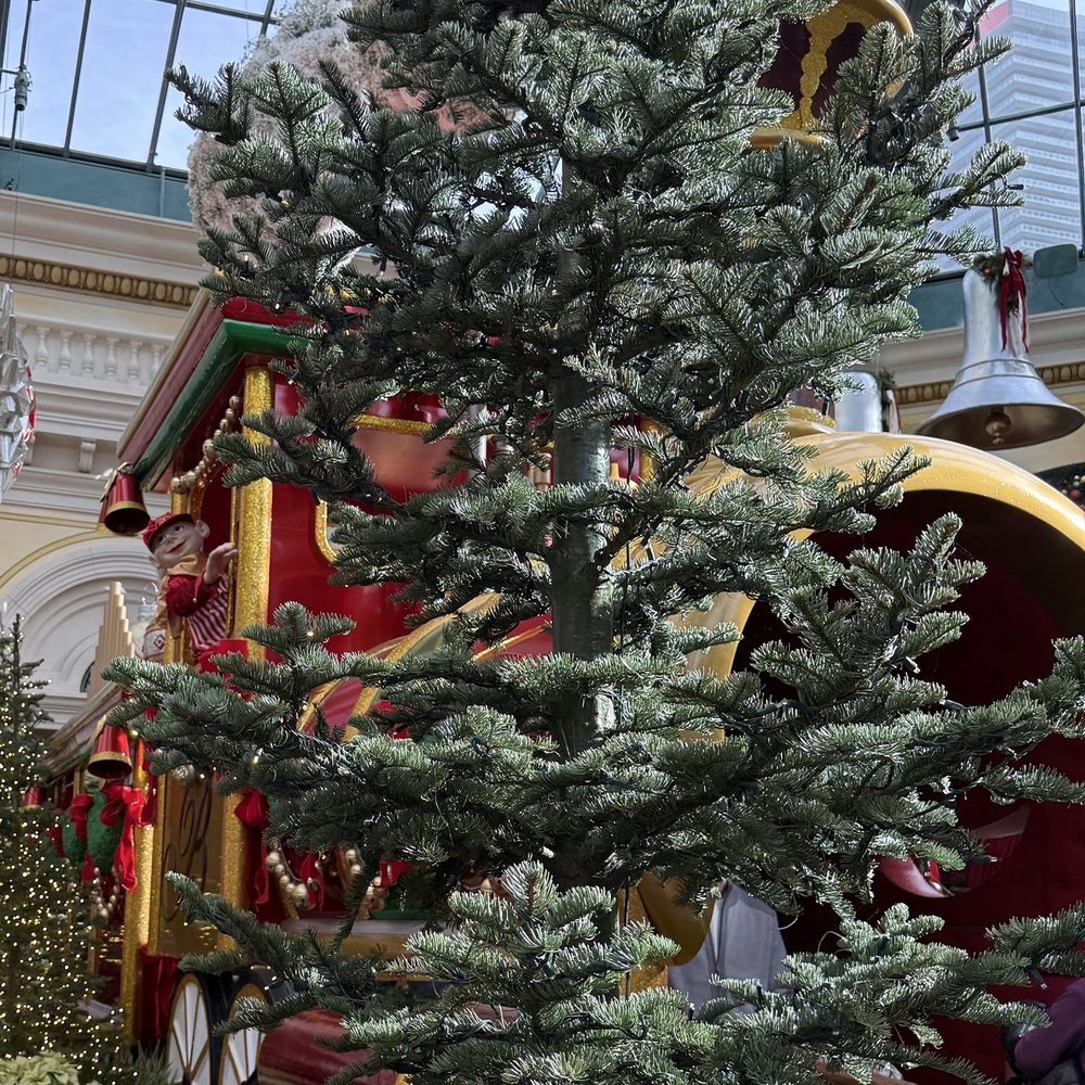 Bellagio - Christmas - Hotels Near Me - Las Vegas, Nevada