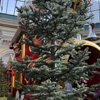 Bellagio - Christmas - Hotels Near Me - Las Vegas, Nevada Bellagio - Christmas - Hotels Near Me - Las Vegas, Nevada