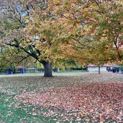 Fernbank Park