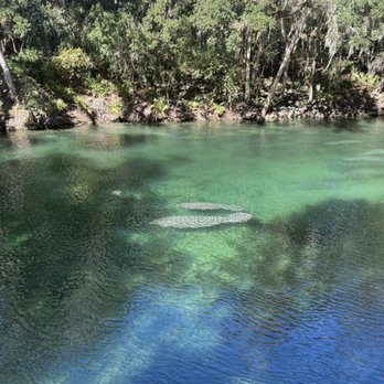 Blue Spring State Park - Parks Near Me - Orange City, Florida
