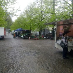 Wochenmarkt Pankow - Hier steppt der Bär...  Wochenmarkt in Pankow