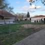 Photo of Premier Tree Service and Landscape