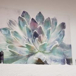 Sanbao Wellness and Beauty - The Lotus is my favorite flower.