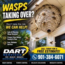 Dart Services