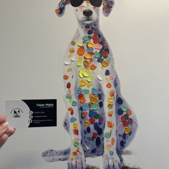 MVP Dog Grooming & Boarding  - Front Entrance to MVP Grooming Salon - Pet Groomers Near Me - Anaheim, California