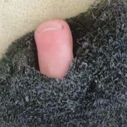 Monroe Township High School - My daughters sock ripped during her gym period