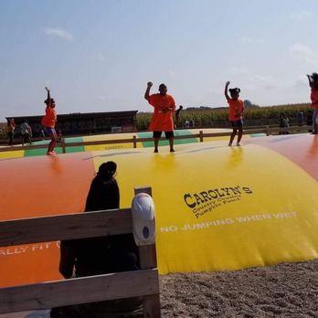 Carolyn's Country Cousins - Jumping high! - Fruits & Veggies Near Me - Liberty, Missouri