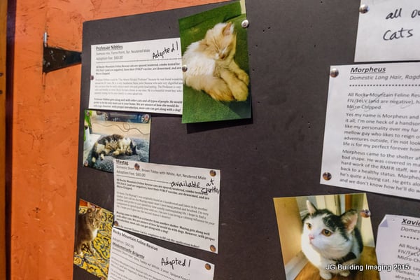 Menu photo 8 Denver Cat Company Denver, CO