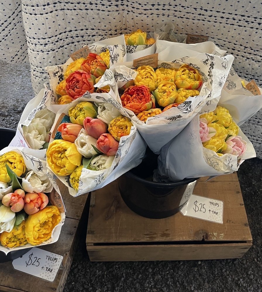 MEADOWS FLOWER FARM Updated September 2024 3744 N Raceway Rd