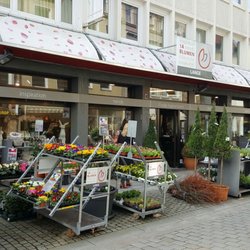 Blumen Lange