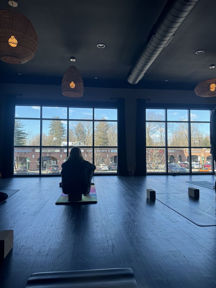 Blackbird Yoga Studio Logo