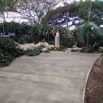 Zackscapes - Tree Services Near Me Zackscapes - Tree Services Near Me