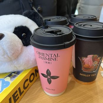 Molly Tea - Bubble Tea Near Me - Chicago, Illinois