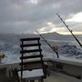 Photo of Oahu Charter Sport Fishing