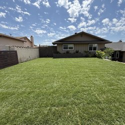 Sod Guys Southern California - New fescue