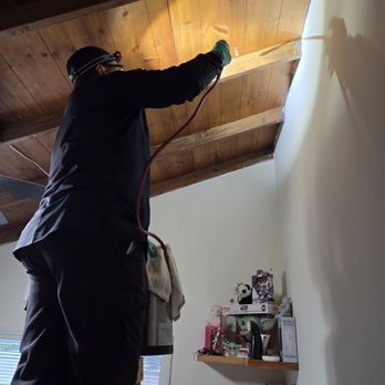 Pacific Coast Termite - Termite treatment - Pest Control Near Me - Orange, California Pacific Coast Termite - Termite treatment - Pest Control Near Me - Orange, California
