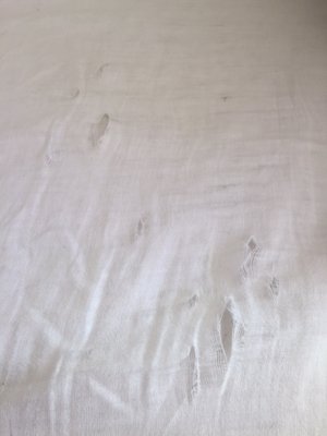 Parachute Home by null