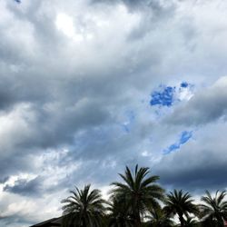 Starling at Nocatee - Life is constantly challenging us..So find the Beauty in those moments #yelpjax #walkinbeauty #cloudparades