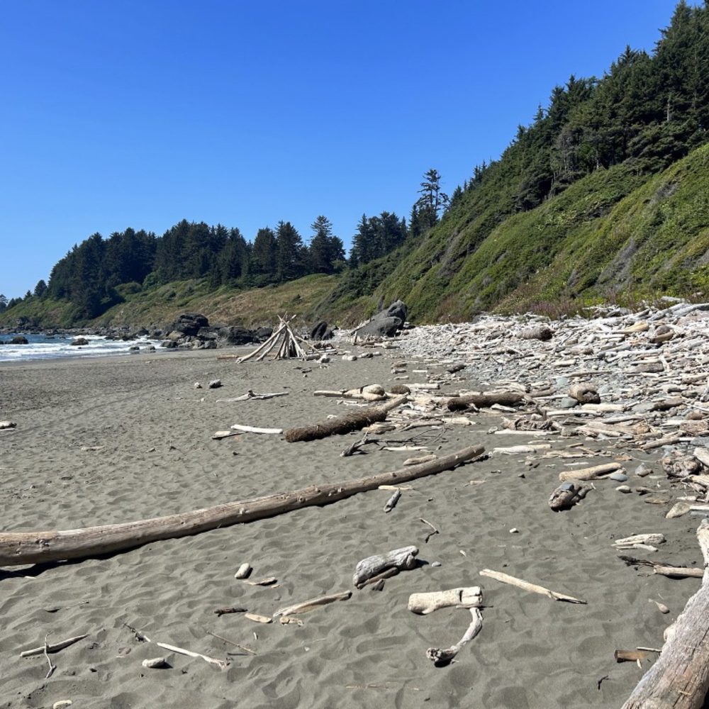 Hidden Beach - Drift wood - Beaches Near Me - Klamath, California