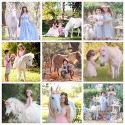 Ponies & Petting Zoo of Miami