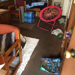 This is my before carpet This is my before carpet