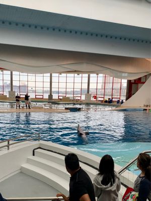 National Aquarium by null