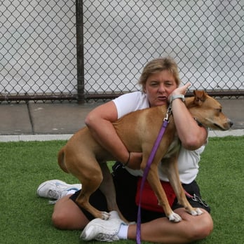 Take The Lead Canine Training - Social Handling training - Pet Training Near Me - Encinitas, California Take The Lead Canine Training - Social Handling training - Pet Training Near Me - Encinitas, California
