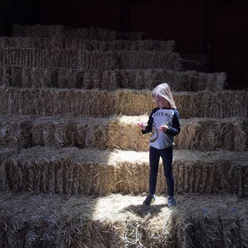 Toby's Feed Barn - Great barn attached - Coffee & Tea Near Me - Point Reyes Station, California Toby's Feed Barn - Great barn attached - Coffee & Tea Near Me - Point Reyes Station, California