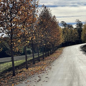 Jordan Vineyard & Winery - Wine Tours Near Me - Healdsburg, California