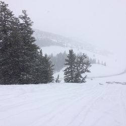 Bear Lake Cabin Rentals