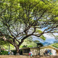 Honolulu Waldorf School