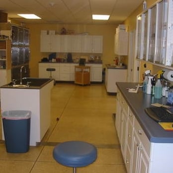 Rainbow Veterinary Clinic - Veterinarians Near Me - Cleveland Heights, Ohio Rainbow Veterinary Clinic - Veterinarians Near Me - Cleveland Heights, Ohio